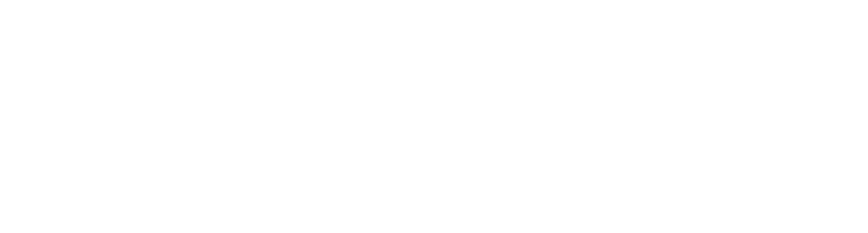 Dvorak Litigation Services
